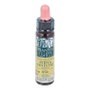 PLANTIS WILD OAT PLANTIS Flores de Bach Nº 36 10ml
