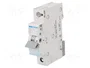 Hager MCS116 Interruptor Magnetotérmico 1 Polo 16A C-16A 6kA Quick Connect