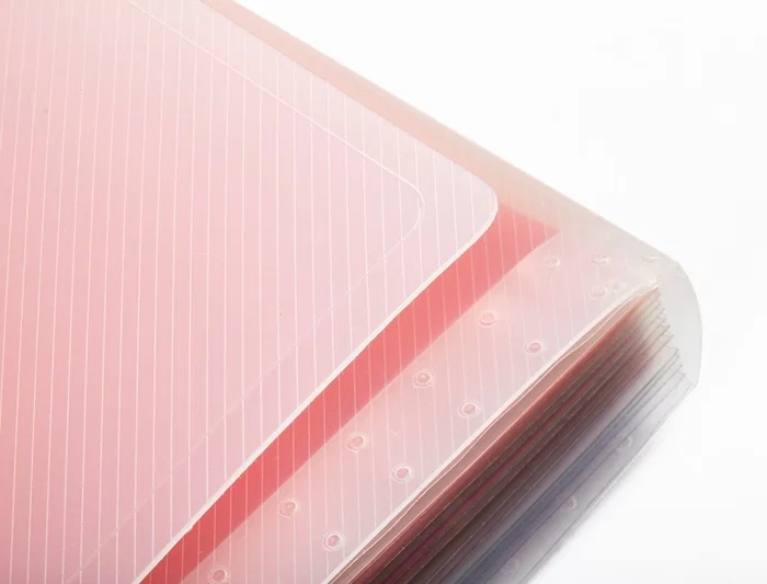 Liderpapel Spectrafile Carpeta Clasificadora Fuelle con 13 Departamentos de Colores en Polipropileno Transparente A5