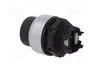 LOVATO ELECTRIC Interruptor rotativo con llave Platinum 22mm 2 posiciones negro