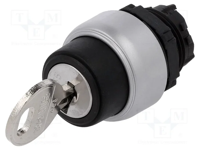 LOVATO ELECTRIC Interruptor rotativo con llave Platinum 22mm 2 posiciones negro LOVATO ELECTRIC Interruptor rotativo con llave Platinum 22mm 2 posiciones negro