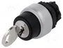 LOVATO ELECTRIC Interruptor rotativo con llave Platinum 22mm 2 posiciones negro