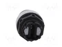 LOVATO ELECTRIC Interruptor rotativo con llave Platinum 22mm 2 posiciones negro