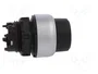LOVATO ELECTRIC Interruptor rotativo con llave Platinum 22mm 2 posiciones negro