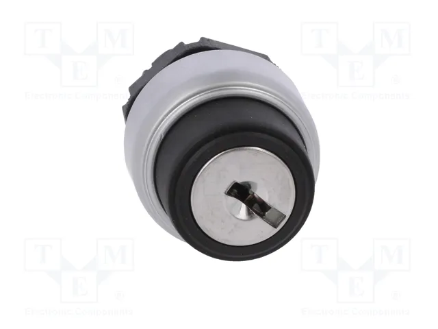 LOVATO ELECTRIC Interruptor rotativo con llave Platinum 22mm 2 posiciones negro LOVATO ELECTRIC Interruptor rotativo con llave Platinum 22mm 2 posiciones negro