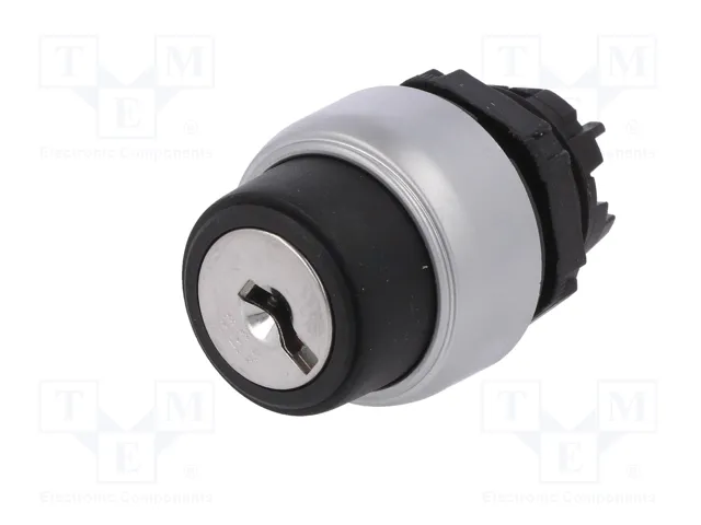 LOVATO ELECTRIC Interruptor rotativo con llave Platinum 22mm 2 posiciones negro LOVATO ELECTRIC Interruptor rotativo con llave Platinum 22mm 2 posiciones negro