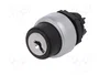 LOVATO ELECTRIC Interruptor rotativo con llave Platinum 22mm 2 posiciones negro