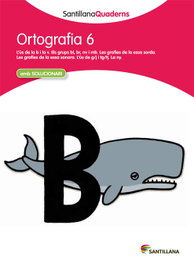 GRUP PROMOTOR, Ortografia, Educació Primària. Quadern 6