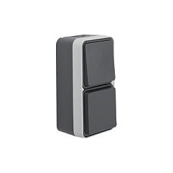 Berker 47803515 Interruptor Combinado con Enchufe SCHUKO Tipo F Gris IP55 250V 16A - Interruptor/Enchufe CEE 7/4 Resistente Plástico para Interior