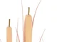 DKD Home Decor Planta de Junco Coral 25x25x90 cm