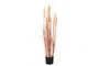 DKD Home Decor Planta de Junco Coral 25x25x90 cm