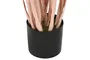 DKD Home Decor Planta de Junco Coral 25x25x90 cm