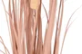 DKD Home Decor Planta de Junco Coral 25x25x90 cm