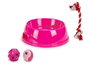 Mascow Set Comedero y 3 Mordedores Surtidos 25.8 x 26 x 8.5 cm (Set de 12)