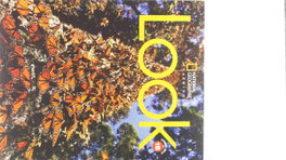 NATIONAL GEOGRAPHIC LEARNING Look Level 1B Combo Book Split (BrE)
