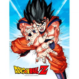 SD TOYS Póster Cristal Goku Kame Dragon Ball Z 30x40cm