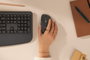Logitech Signature Comfort Plus M850L Grafito