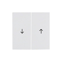 Berker 16258989 Wippe con Símbolo Flecha, Blanco, Plástico Brillante, Sin Tornillos, Compatible con Cualquier Marca