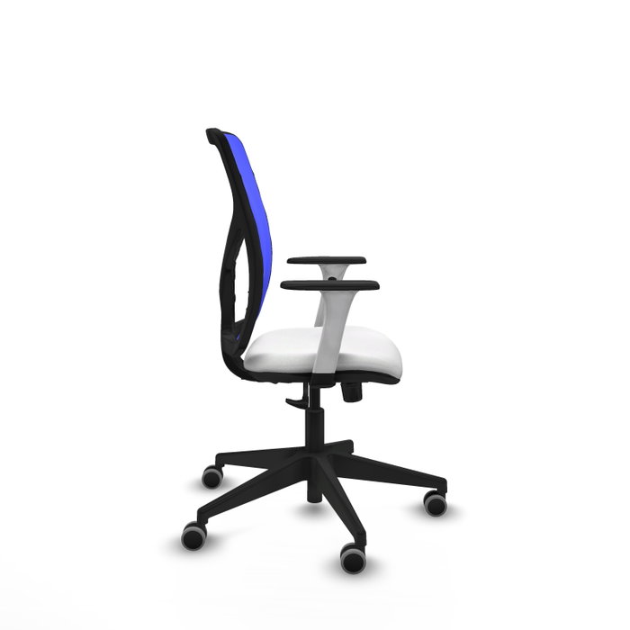 PIQUERAS Y CRESPO Silla de oficina Motilla con mecanismo Sincro, Azul y Blanco PIQUERAS Y CRESPO Silla de oficina Motilla con mecanismo Sincro, Azul y Blanco