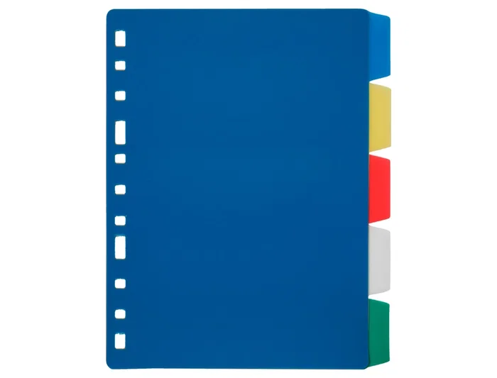 Liderpapel Separadores Plástico para Archivo Cuarto Juego de 5 Separadores Multitaladro Colores Opacos