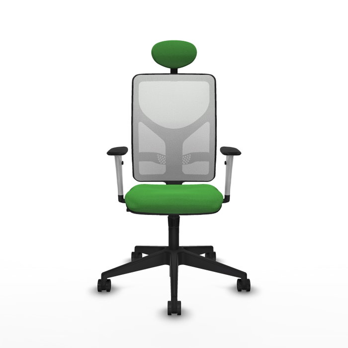 PIQUERAS Y CRESPO Silla de oficina Motilla con Mecanismo Sincro Verde y Blanco PIQUERAS Y CRESPO Silla de oficina Motilla con Mecanismo Sincro Verde y Blanco