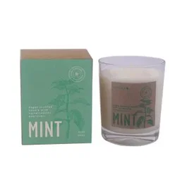 CERABELLA Vela Vaso Botvasm Mint Menta 7,5X9Cm 1Ud Cera Vegetal