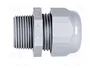HELU Sello aislante NPT3/4 IP68 Gris Oscuro