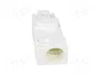 STEGO Conector macho 025 blanco