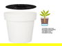 Ibergarden Maceta Plastico Blanca Con Reserva De Agua 30 cm (Set de 6)
