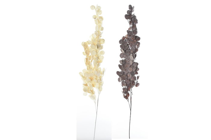 DKD Home Decor Rama PE Colgante Surtido de 2 Colores (20x10x105 cm)