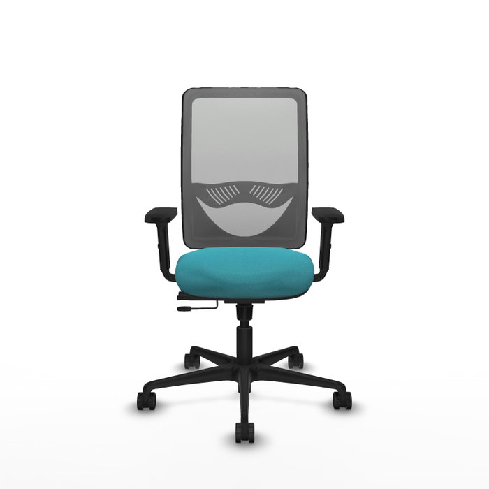 PIQUERAS Y CRESPO Silla de oficina Zulema con mecanismo Sincro/Traslack Turquesa y Gris PIQUERAS Y CRESPO Silla de oficina Zulema con mecanismo Sincro/Traslack Turquesa y Gris