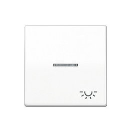 Jung AS 591 KO5L WW Wippe Kontroll mit Licht-System