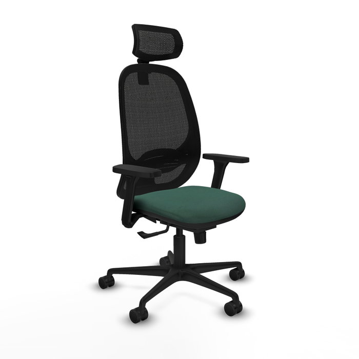 PIQUERAS Y CRESPO Silla de oficina Cilanco con Mecanismo Sincro, Verde botella y Negro PIQUERAS Y CRESPO Silla de oficina Cilanco con Mecanismo Sincro, Verde botella y Negro