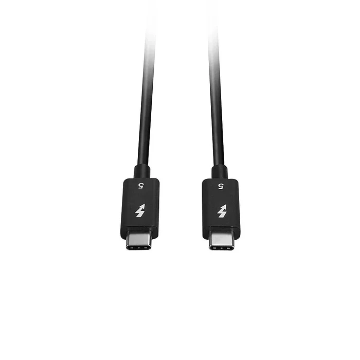 Lindy 31130 Cable Thunderbolt 5 de 1 m, 80 Gbit/s, Negro