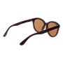 Serengeti SS573002 Gafas de sol marrones fotocromáticas y polarizadas