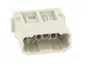 HARTING Módulo de conector macho Han-Modular® de 12 pines