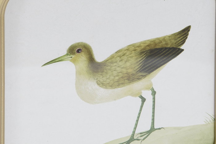 DKD Home Decor Cuadro Cottage 2 x 30 x 30 cm Aves Beige Verde Dorado Cristal MDF (6 Unidades) DKD Home Decor Cuadro Cottage 2 x 30 x 30 cm Aves Beige Verde Dorado Cristal MDF (6 Unidades)