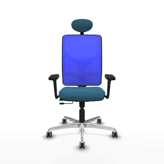 PIQUERAS Y CRESPO Silla de oficina Motilla con mecanismo Sincro/Traslack, Verde petróleo y Azul PIQUERAS Y CRESPO Silla de oficina Motilla con mecanismo Sincro/Traslack, Verde petróleo y Azul