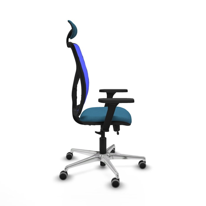 PIQUERAS Y CRESPO Silla de oficina Motilla con mecanismo Sincro/Traslack, Verde petróleo y Azul PIQUERAS Y CRESPO Silla de oficina Motilla con mecanismo Sincro/Traslack, Verde petróleo y Azul