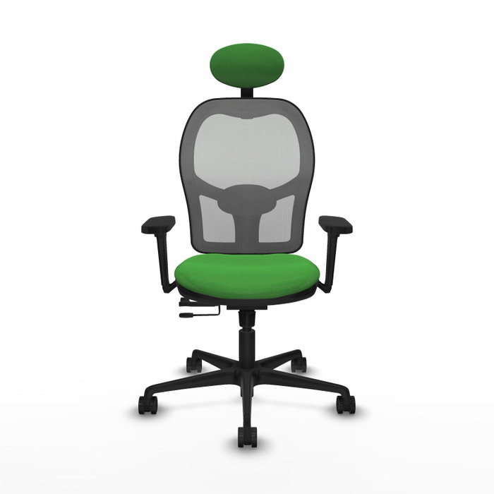 PIQUERAS Y CRESPO Silla de oficina Jorquera con Mecanismo Sincro/Traslack, Tela Verde y Malla Gris PIQUERAS Y CRESPO Silla de oficina Jorquera con Mecanismo Sincro/Traslack, Tela Verde y Malla Gris