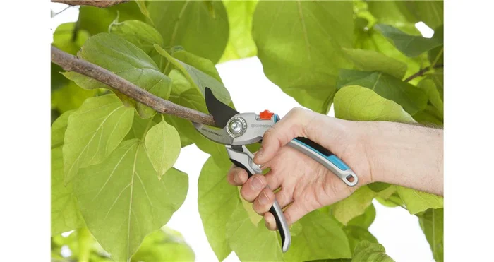 Gardena Tijeras de Poda Eléctrica con Mango Ergonómico - Grosor Máx. 2.5 cm, Color Gris y Turquesa, Modelo 08906-20 (8906-20)