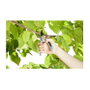 Gardena Tijeras de podar 8906-20 Gris y Turquesa