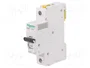 SCHNEIDER ELECTRIC ACTI9 iC60H 32A 1P Característica C