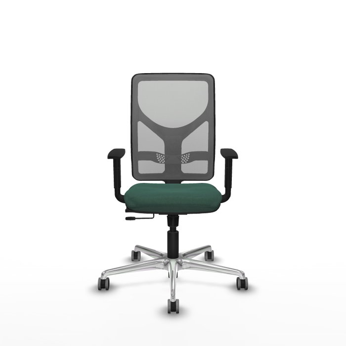 PIQUERAS Y CRESPO Silla de oficina Motilla con mecanismo Sincro/Traslack, Verde botella y Gris PIQUERAS Y CRESPO Silla de oficina Motilla con mecanismo Sincro/Traslack, Verde botella y Gris