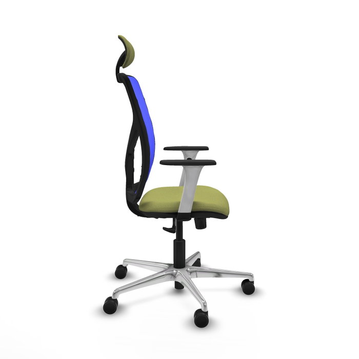PIQUERAS Y CRESPO Silla de oficina Motilla con mecanismo Sincro, Verde oliva y Azul PIQUERAS Y CRESPO Silla de oficina Motilla con mecanismo Sincro, Verde oliva y Azul