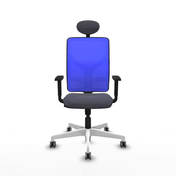 PIQUERAS Y CRESPO Silla de oficina Motilla con mecanismo Sincro, Azul y Gris oscuro PIQUERAS Y CRESPO Silla de oficina Motilla con mecanismo Sincro, Azul y Gris oscuro