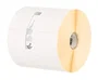 Zebra Z-Perform 1000D 51x25mm Blanco Permanente