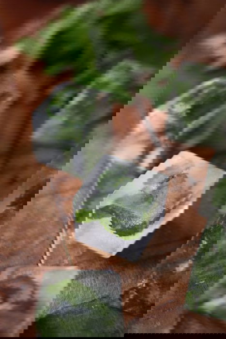 Quttin Cubitera Flexible de Silicona para 4 Cubitos de Hielo 11.3x11.3x5 cm (24 Unidades)