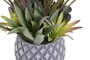 DKD Home Decor Planta Rosa Naranja 28 x 29 x 31 cm (4 Unidades)
