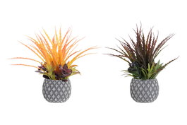 DKD Home Decor Planta Rosa Naranja 28 x 29 x 31 cm (4 Unidades)